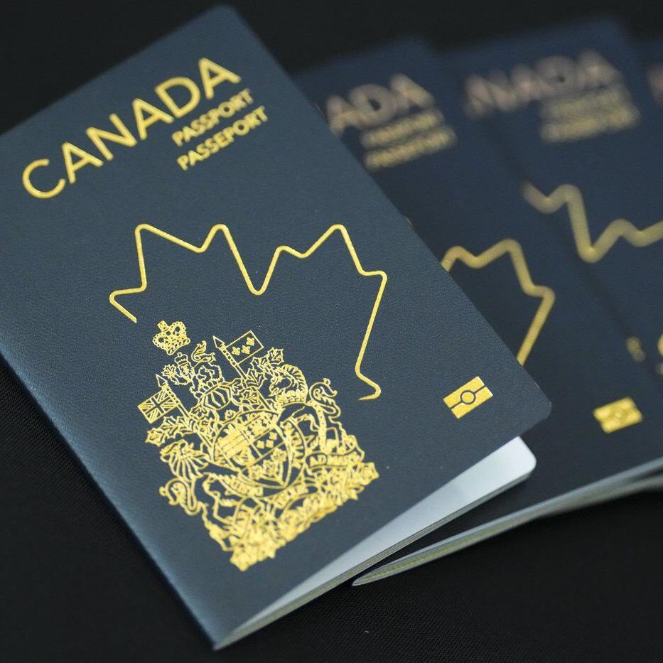 Immigration lawyers say rising number of CSIS security screenings causing delays